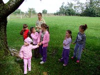 k_p7_114.jpg