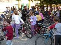 p1150187.jpg