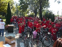 p1150240.jpg