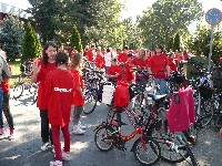 p1150295.jpg