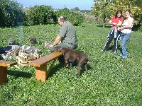 dscf3584.jpg