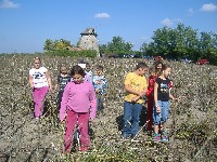 dscf3607.jpg