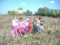 dscf3608.jpg
