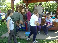 dscf3668.jpg