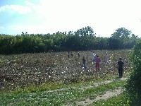 dscf3676.jpg