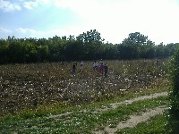 dscf3677.jpg