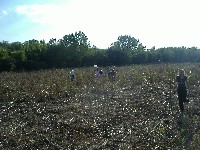 dscf3694.jpg