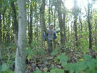 dscf3705.jpg