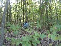 dscf3706.jpg