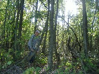 dscf3709.jpg