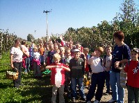 100_2953.jpg