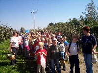 100_2954.jpg