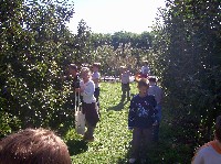 100_2955.jpg