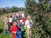 100_2956.jpg