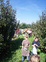 100_2958.jpg