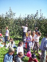 100_2961.jpg