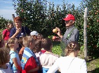 100_2971.jpg