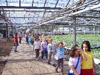 100_2991.jpg