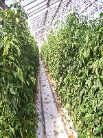 100_3003.jpg