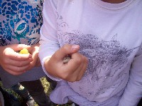 100_3010.jpg