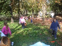 dsc02310.jpg