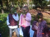 dsc02313.jpg