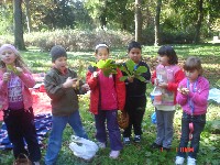 dsc02325.jpg