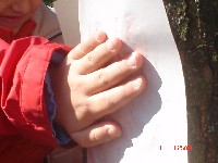 dsc02329.jpg