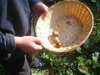 dsc02334.jpg