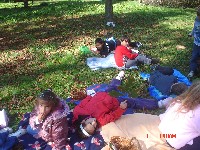 dsc02339.jpg