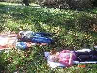 dsc02341.jpg