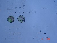 dsc02347.jpg