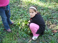 p1150744.jpg