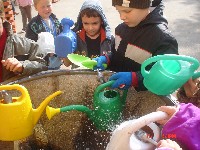 dsc02403.jpg