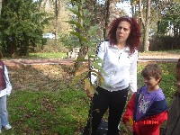 dsc02411.jpg