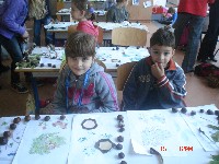 dsc02479.jpg
