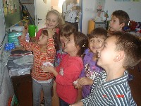dsc02494.jpg