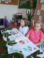 dscf2173.jpg