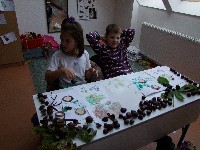 dscf2175.jpg