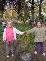 dscf2215.jpg