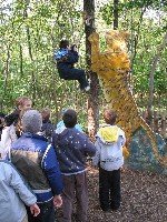 img_1375.jpg