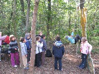img_1376.jpg