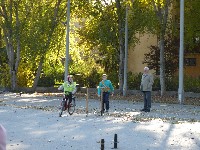 p1100395.jpg