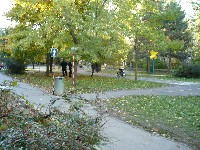 p1100412.jpg
