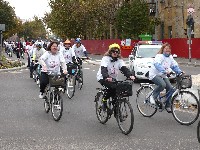 p1150867.jpg