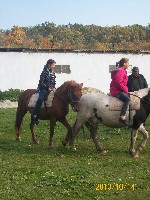 100_1280.jpg