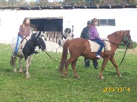 100_1288.jpg