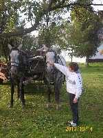 100_1290.jpg
