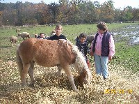 100_1295.jpg