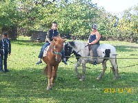 100_1297.jpg